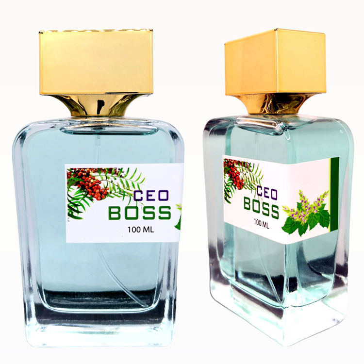 CEO Boss Inspired by Hugo Boss for Men, EDP 100ml